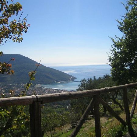 Casa Vacanze Cilento Torraca 外观 照片